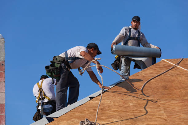 Best Metal Roofing Contractor  in Huron, SD